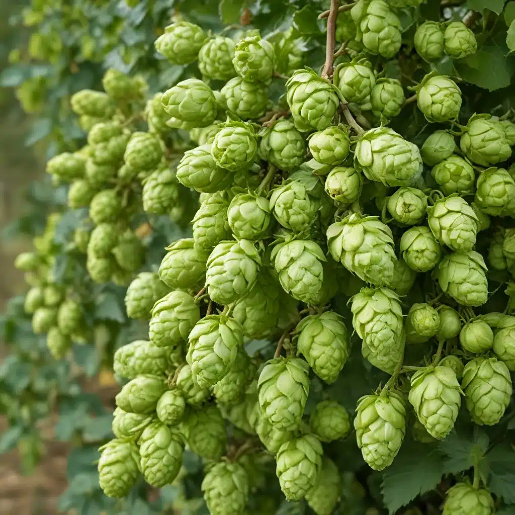 The Hop Whisperer: Cultivating Aroma-Packed Hops